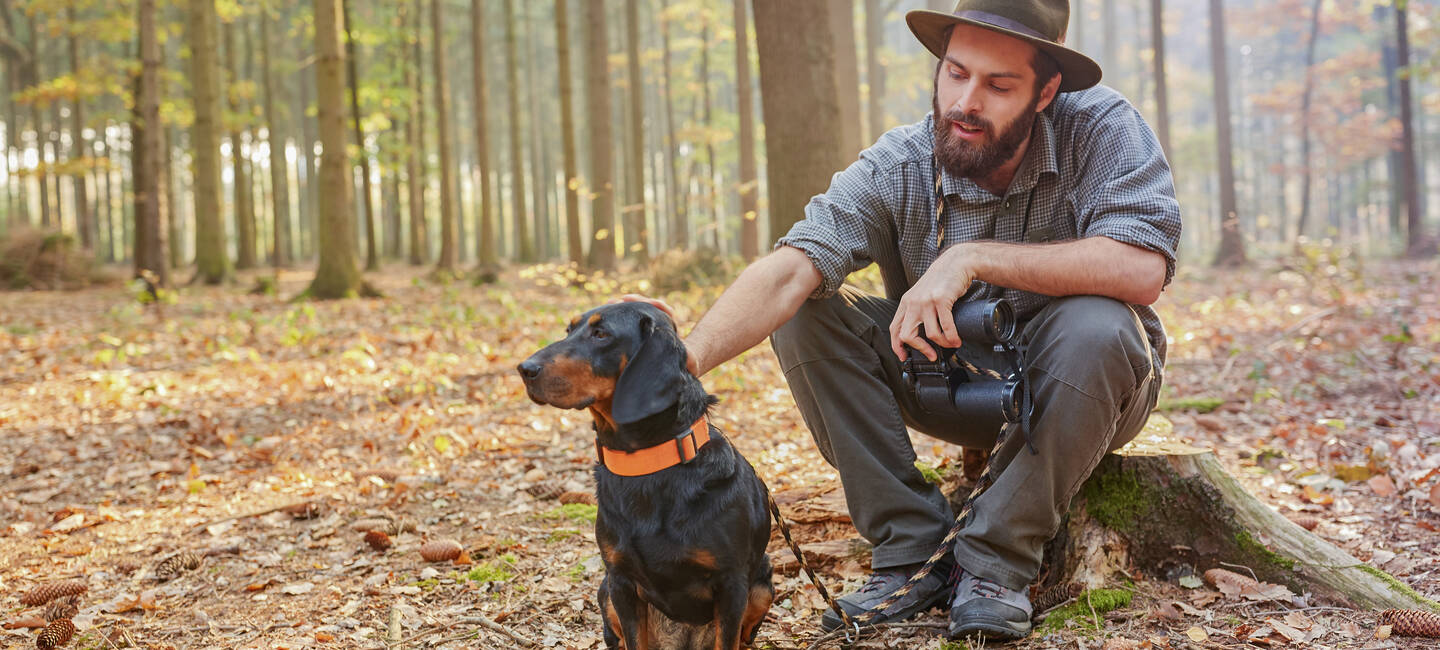 Wenn der Hund fremdes Eigentum beschädigt. Ein Hund sitzt mit seinem Herrchen im Wald.